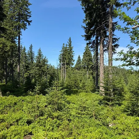 Lägenhet Luxury Mountain *