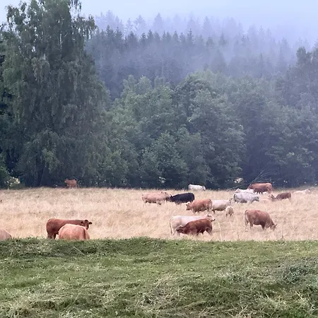 Lägenhet Luxury Mountain *