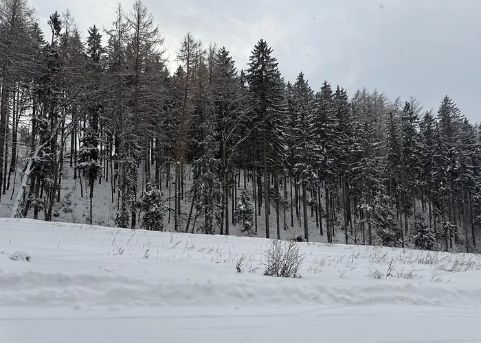 Апартаменты Luxury Mountain Янське Лазне