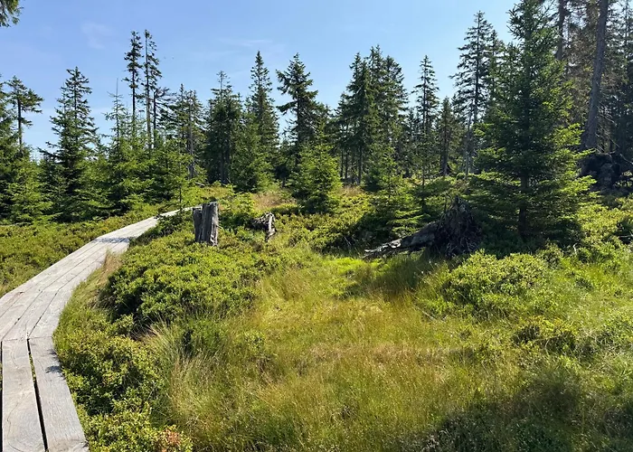 Lägenhet Luxury Mountain Janske Lazne