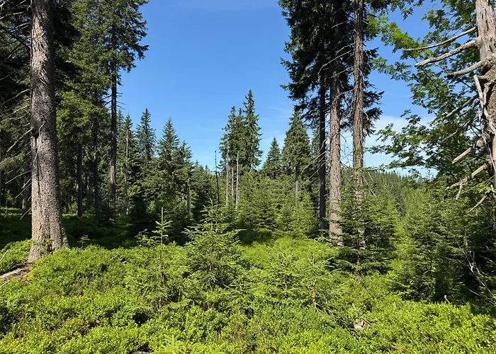 Lägenhet Luxury Mountain *