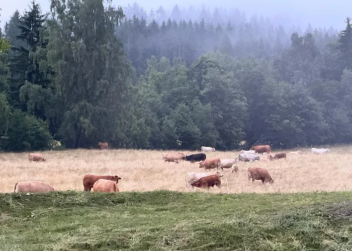 Lägenhet Luxury Mountain *